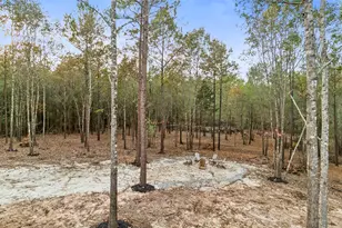 455 Hickory Hill Rd, Cleveland, TX 77328 - Photo 36