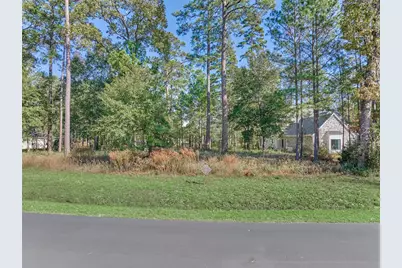 4441 Holly Trail Road, Montgomery, TX 77316 - Photo 2