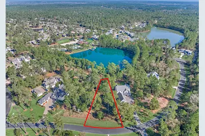 4441 Holly Trail Road, Montgomery, TX 77316 - Photo 6