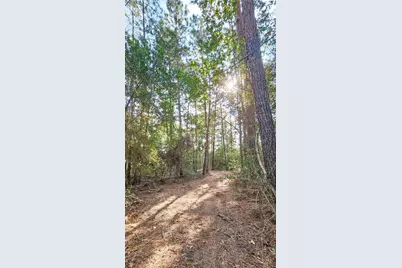 Tbd Gregory, New Waverly, TX 77358 - Photo 6