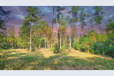 Tbd Gregory, New Waverly, TX 77358 - Photo 1