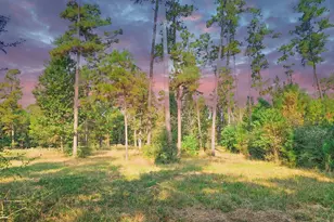 Tbd Gregory, New Waverly, TX 77358 - Photo 1