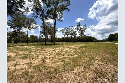 1510 County Road 632, Dayton, TX 77535 - Photo 10