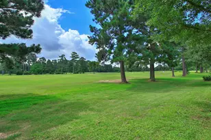 20110 Stormy Pine Ln, Spring, TX 77379 - Photo 34