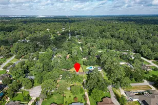 11619 Possum Hollow Ln, Houston, TX 77065 - Photo 48