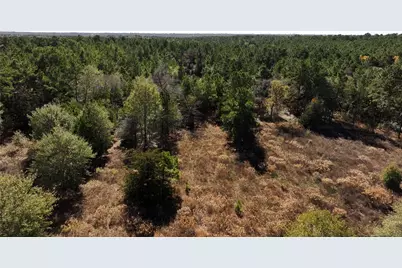 4604-16 Highway 105 E, Navasota, TX 77868 - Photo 4