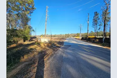 Lot 47 Sherwood Drive, Shepherd, TX 77371 - Photo 4