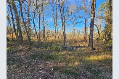 Lot 47 Sherwood Drive, Shepherd, TX 77371 - Photo 12
