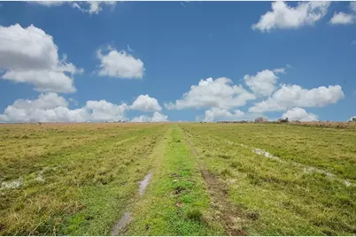 1 Brumbelow Road, Needville, TX 77461 - Photo 2