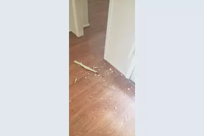 2425 Holly Hall Street #F80, Houston, TX 77054 - Photo 10