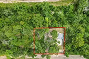 163 Shadywood Dr, Trinity, TX 75862 - Photo 1