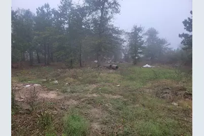 1141 County Road 3556, Cleveland, TX 77327 - Photo 8