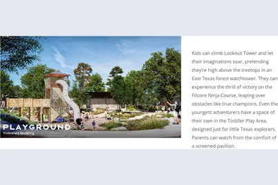 1736 Howler Way, Montgomery, TX 77316 - Photo 48