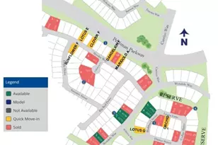 1736 Howler Wy, Montgomery, TX 77316 - Photo 4