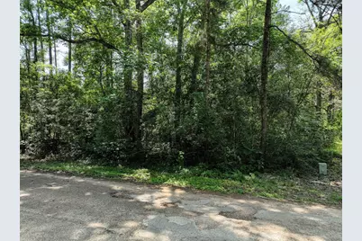 0 Fairway Dr, New Caney, TX 77357 - Photo 2