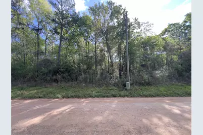 19109 Bedford, New Caney, TX 77357 - Photo 6