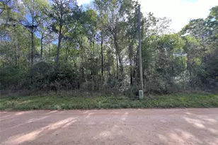 19109 Bedford, New Caney, TX 77357 - Photo 6