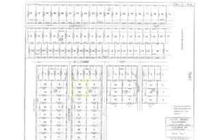 19109 Bedford, New Caney, TX 77357 - Photo 2