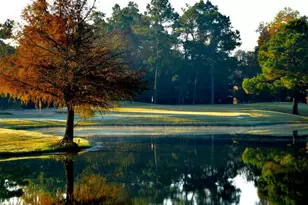 24220 Auburn Trails Dr, Porter, TX 77365 - Photo 46