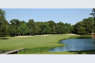 24220 Auburn Trails Drive, Porter, TX 77365 - Photo 48