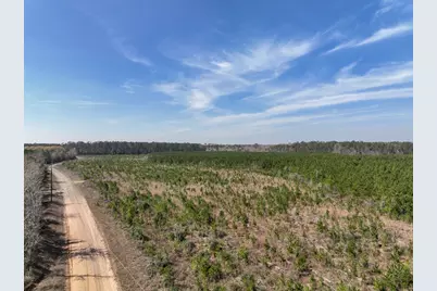 16 County Rd 4415, Spurger, TX 77660 - Photo 4