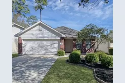 50 Thicket Grove Place, The Woodlands, TX 77385 - Photo 1
