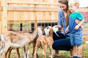 3230 Key Lime Dr, Richmond, TX 77406 - Photo 22