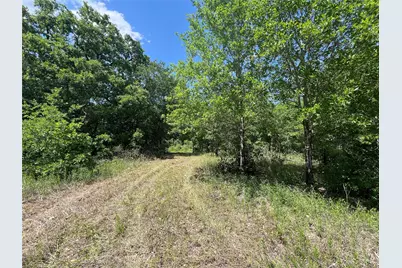 0011 Cr 218 Road, Anderson, TX 77830 - Photo 6