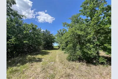 0011 Cr 218 Road, Anderson, TX 77830 - Photo 8