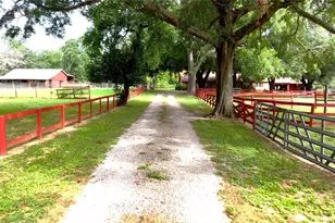 25429 Hardin Store Rd, Magnolia, TX 77354 - Photo 2