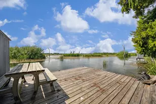 29331 County Rd 25, Damon, TX 77430 - Photo 2