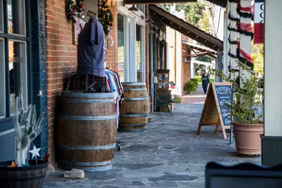 Tbd Sunny Meadow Lot 28 Drive, Chappell Hill, TX 77426 - Photo 12