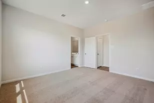 333 Fastboy Trail, Waller, TX 77484 - Photo 24