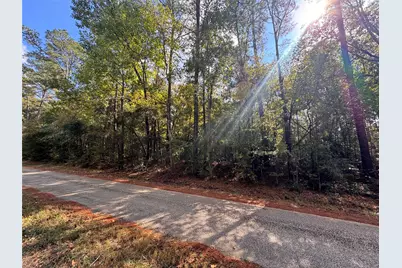 Tbd Love Drive, Cleveland, TX 77327 - Photo 4