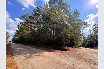 Tbd Love Drive, Cleveland, TX 77327 - Photo 2