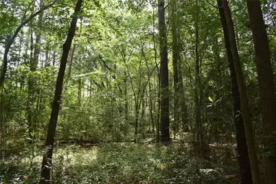 00 Garrett Road, Conroe, TX 77306 - Photo 20