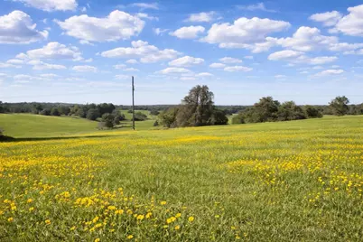 00 W Cr 315 E, Buffalo, TX 75831 - Photo 6