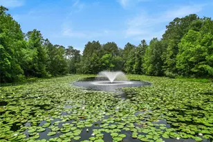 134 Moon Dance Ct, Conroe, TX 77304 - Photo 40
