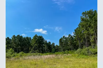 1 County Road 1325, Warren, TX 77664 - Photo 8