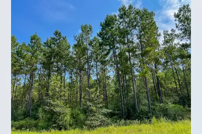 1 County Road 1325, Warren, TX 77664 - Photo 10