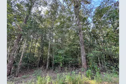 1 County Road 1325, Warren, TX 77664 - Photo 4