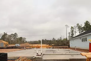 11480 Billy Bobs St, Montgomery, TX 77316 - Photo 4