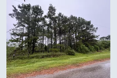 235 County Road 1820, Liberty, TX 77575 - Photo 1
