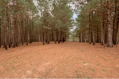 14254 Cr 2080, Crockett, TX 75835 - Photo 10