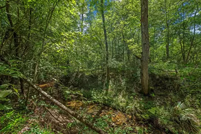 111 Heritage Oak Drive, Huntsville, TX 77320 - Photo 48