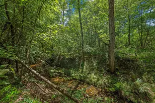 111 Heritage Oak Dr, Huntsville, TX 77320 - Photo 48