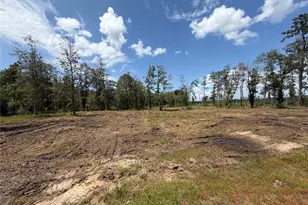 1499 Pr 7129, , TX 75933 - Photo 44
