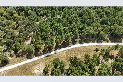 Tbd Cherokee Trail, Lovelady, TX 77851 - Photo 10