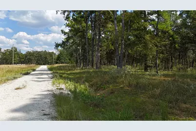 Tbd Cherokee Trail, Lovelady, TX 77851 - Photo 12