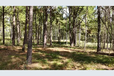 Tbd Cherokee Trail, Lovelady, TX 77851 - Photo 1